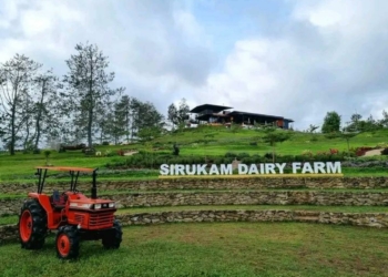 Sirukam Dairy Farm, Objek Wisata Edukasi Peternakan Sapi