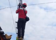 Kuartal I 2023, Telkom Raup Untung Rp6,42 Triliun