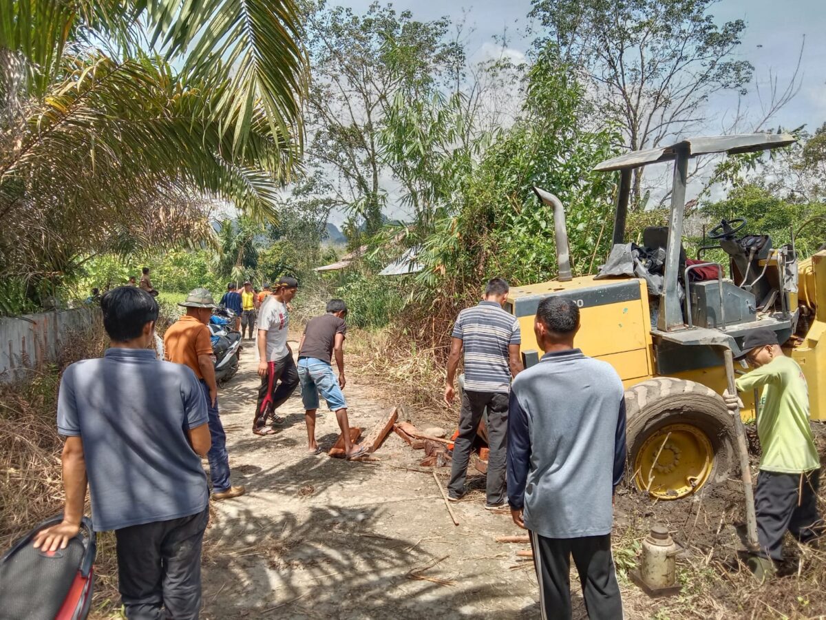 IKKS Family Serantau