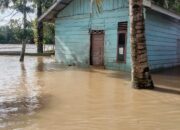 Banjir Melanda Dua Kabupaten di Provinsi Aceh