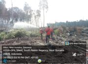 Awas… Seminggu Belakangan 120 Hektare Lahan Hutan Terbakar di Pesisir Selatan