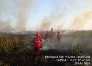 Karhutla yang Hanguskan 8 Hektare Lahan di Kota Palangkaraya Berhasil Dipadamkan