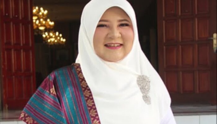 Krisis Polusi Udara Mendesak, Nevi Zuairina Desak Pemerintah Ambil Tindakan Tegas