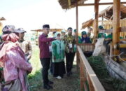 Terima KUR Pertanian Rp50 Miliyar, Petani Solok Selatan Diminta “Timba Ilmu” di Arena PENAS XVI Padang