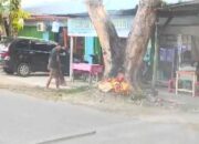 Bakar Sampah di Bawah Pohon Pelindung, Pengusaha Depot Air Minum Ini Berurusan dengan Pol PP Padang