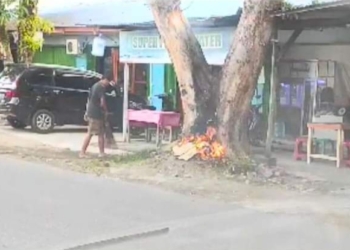Bakar Sampah di Bawah Pohon Pelindung, Pengusaha Depot Air Minum Ini Berurusan dengan Pol PP Padang