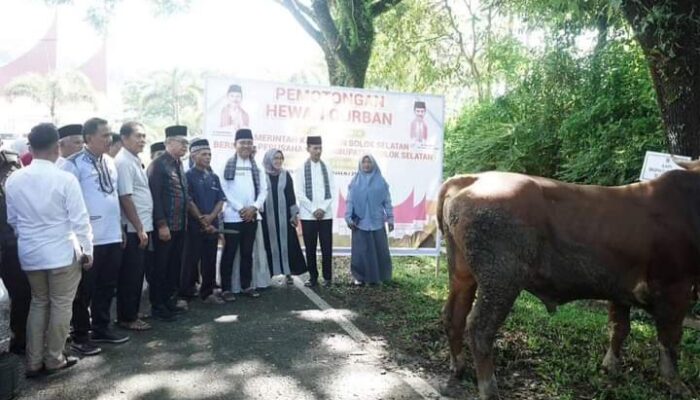 Pemkab Solok Selatan Sembelih 41 Ekor Sapi dan 2 Ekor Kambing Kurban