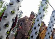 Kaum Petani Sumbar Masih Didominasi Generasi Tua