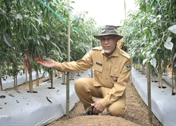 Keberpihakan pada Sektor Pertanian sebagai Upaya  Mensejahterakan Petani dan Nelayan 