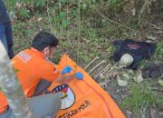 Kerangka Manusia Tak Dikenal Ditemukan di Kotobaru Solok