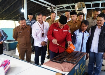 Program Electrifying Agriculture PLN Bantu Petani Tebu Lawang Hemat 70 Persen