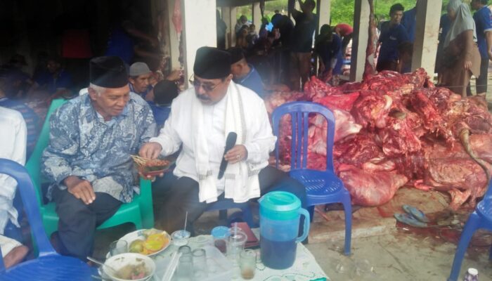 Pulang Kampung ke Aur Malintang, Haji Sagi Berkurban 35 Ekor Sapi dengan 3.500 Kupon