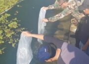 Pj Wali Kota Payakumbuh, Rida Ananda, Ajak Warga Gemar Makan Ikan