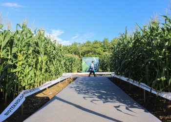 Meneropong Masa Depan Venue Penas KTNA XVI