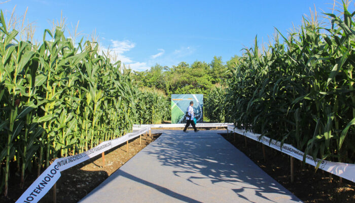 Dugaan Korupsi Penas Tani 2023, 4 Kepala Dinas Pemprov Sumbar Dipanggil Kejati