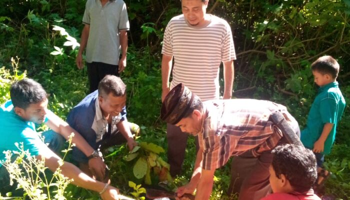 Warga Nagari Muara Tais Sembelih Hewan Kurban dari Anggota DPR RI Nevi Zuarina