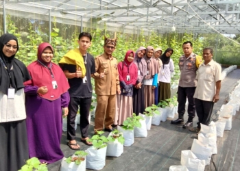 Mahasiswa S2 Universitas Taman Siswa Padang Berhasil Budidaya Melon Madu di Nagari LNP Padang Pariaman