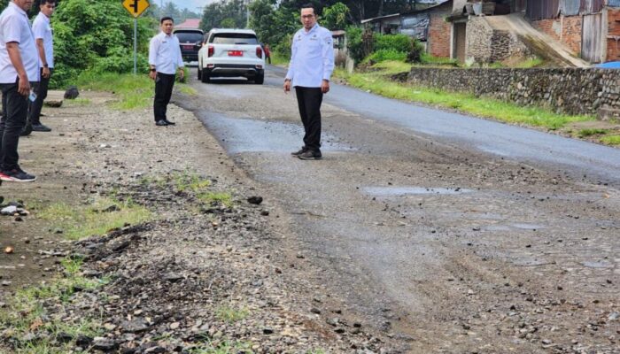 Tanggapi Keluhan Masyarakat, Bupati Eka Putra Tinjau Kondisi Ruas Jalan Di Tanah Datar