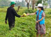 Program Electrifying Agriculture PLN Tumbuh 22,28 Persen pada Semester I/2023