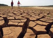 Bencana Kekeringan Melanda Kabupaten Puncak, Menko PMK dan Kepala BNPB akan Antarkan Bantuan Langsung