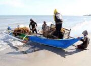 Sektor Perikanan Tangkap di Mentawai Belum Tergarap Maksimal