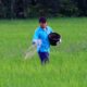 Pemprov Sumbar menyediakan 2.000 hektare lahan untuk mempercepat pelaksanaan program cetak sawah seluas tiga juta hektare di Indonesia.