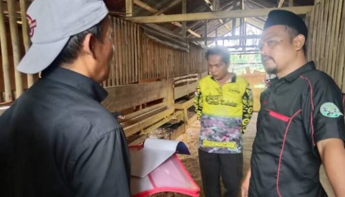 Baru Berdiri 2021, Rumah Maggot Sehati Lubuk Gadang Solok Selatan Kini Terbaik II di Sumbar