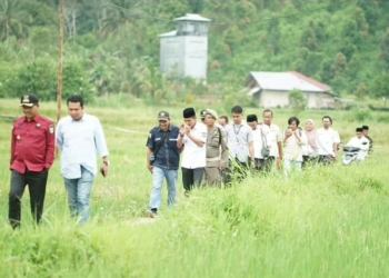Pemkab Solok Selatan Kucurkan Lagi Rp3,6 Miliar untuk Pembangunan Jalan di Nagari Simancuang