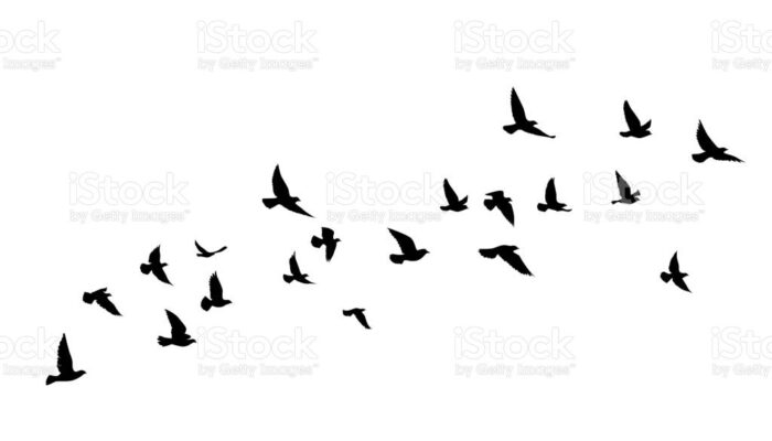 Kumpulan Puisi Terbaik Karya Najla Nazihah, Siswi SMP Al Ishlah Bukittinggi