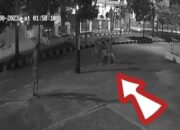 Beginilah Kelakuan OTK  Perusak! Pot Bunga Jalan Kota Dihancurkan, Sekarang Sedang Diintai Petugas