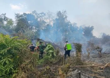 Pemprov Sumbar mewaspadai potensi kebakaran lahan hutan atau Karhutla seiring meningkatnya titik (hotspot) di sejumlah daerah.