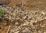 Pemkab Padang PariamanDalami ODCB Batu Prasejarah