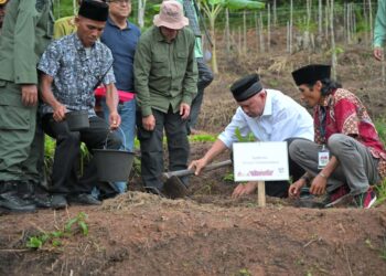 Pemerintah Provinsi berkomitmen untuk meningkatkan kolaborasi demi kemajuan program hutan sosial Sumbar untuk dapat dimanfaatkan masyarakat.