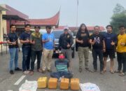 Polres Sijunjung Gagalkan Peredaran Ganja 20 Kg
