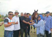 Jati Halilintar Juarai Kelas  C/D 3 tahun Jarak 1.200 Meter Kejuaraan Pacuan Kuda Piala Gubernur Sumbar Cup 2023