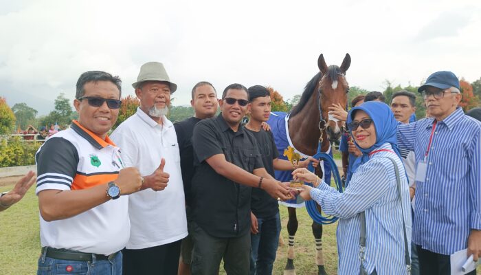 Jati Halilintar Juarai Kelas  C/D 3 tahun Jarak 1.200 Meter Kejuaraan Pacuan Kuda Piala Gubernur Sumbar Cup 2023