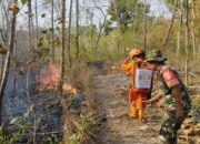 Lahan Terbakar Seluas Sembilan Hektar di Sragen Berhasil Dipadamkan