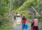 Pohon Tumbang Landa 3 Kecamatan di Sijunjung