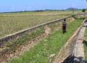 Pemkab Padang Pariaman Sediakan Rp6,2 M untuk Rehabilitasi dan Peningkatan Jaringan Irigasi