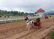 Gelanggang Pacuan Kuda Bukik Ambacang Bakal Diperluas