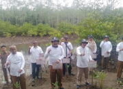 Tanam Seribu Mangrove, Kolaborasi Mengurangi Emisi Karbon
