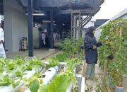 Menu Baru November-Desember Diluncurkan Hotel Santika Padang Produksi Makanan dari Kebun Sendiri