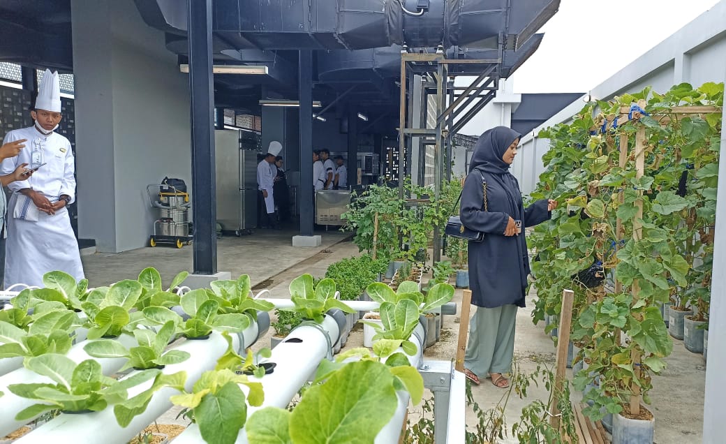 Penampakan kebun Hotel Santika Premiere Padang di Rooftop lantai 10. Menu yang disajikan diproduksi dari kebun ini. YESI