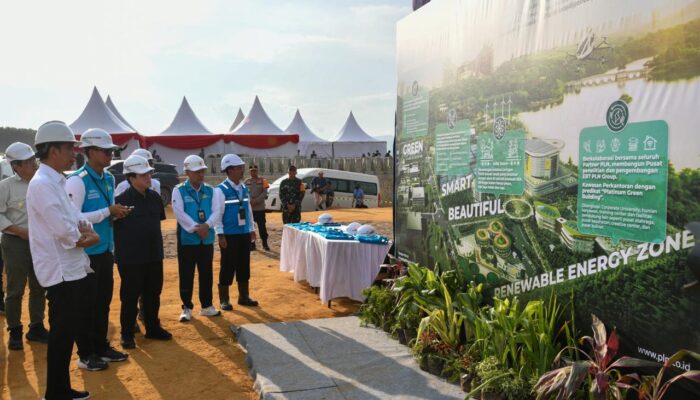 Presiden Jokowi Cek Progres Pembangunan IKN, PLN Siapkan Listrik dari Energi Bersih