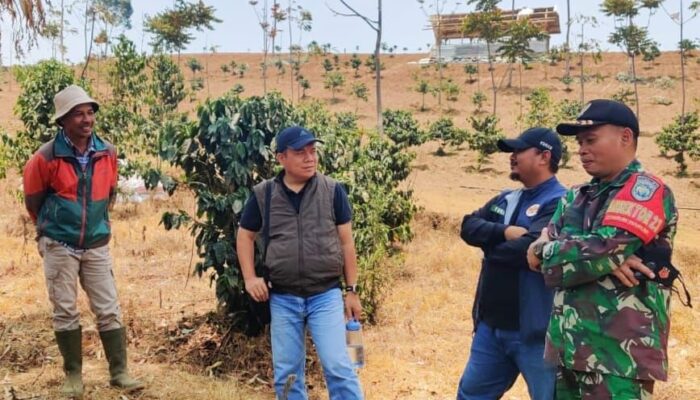 Tanam 86.211 Pohon Produktif, PLN Pulihkan 308 Ha Lahan Tandus Jadi Paru-paru Bumi Indonesia