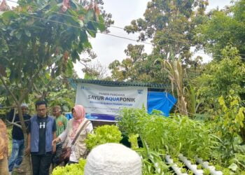 AQUA Solok Bantu Petani Kembangkan Pertanian Terintegrasi, Hasil dan Harga Meningkat