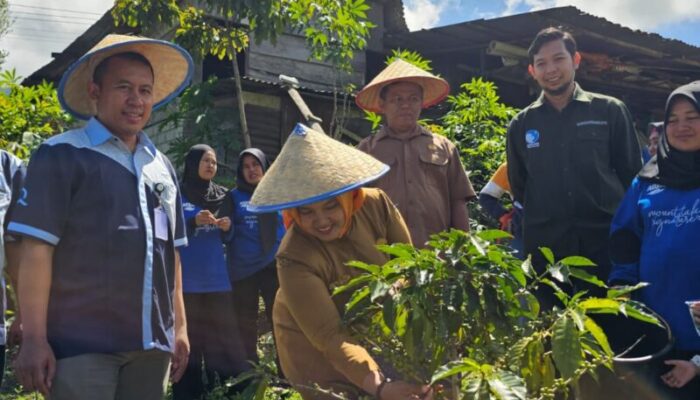 Kelompok Binaan Pabrik AQUA Solok Luncurkan Kopi Kayu Aro: Secangkir Kopi Merawat Bumi