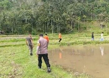 Kabur Dari Kejaran Warga, Pemuda Hilang di Hutan Bungus