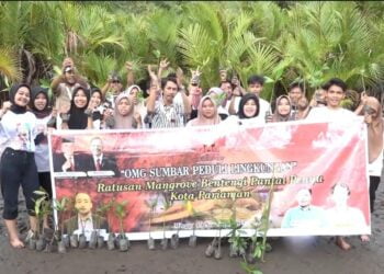 Jaga Kelestarian Alam, OMG Sumbar Ajak Masyarakat Tanam Mangrove di Pantai Penyu