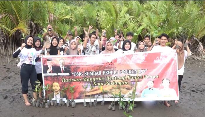 Jaga Kelestarian Alam, OMG Sumbar Ajak Masyarakat Tanam Mangrove di Pantai Penyu